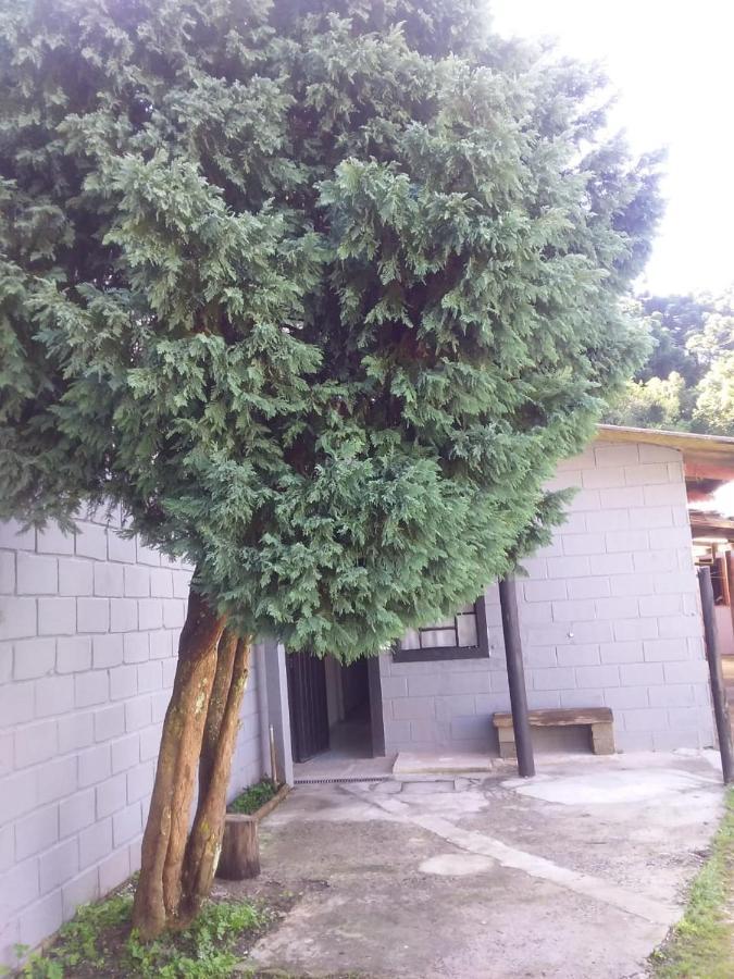 Vila Kitnet Recanto De Campos-Pertinho Do Centro Campos do Jordão Exteriér fotografie