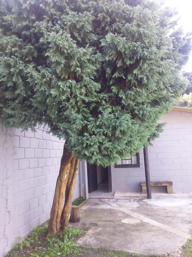 Vila Kitnet Recanto De Campos-Pertinho Do Centro Campos do Jordão Exteriér fotografie